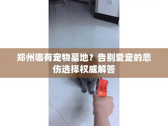 郑州哪有宠物墓地?告别爱宠的悲伤选择权威解答 郑州哪有宠物墓地?告别爱宠的悲伤选择权威解答