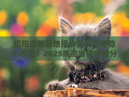 信阳宠物墓地报价如何避免隐形收费？2025亲测省钱策略分享