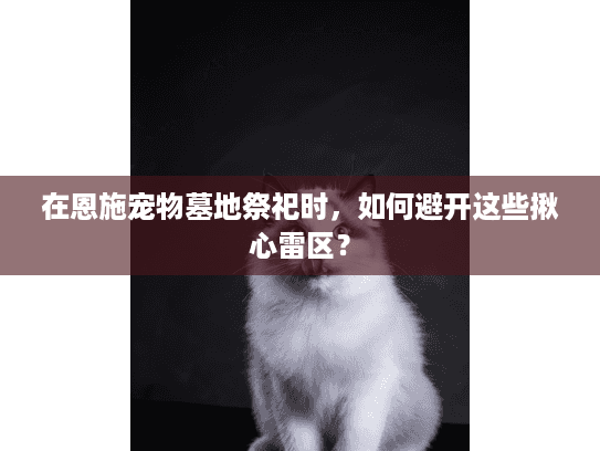 在恩施宠物墓地祭祀时，如何避开这些揪心雷区？