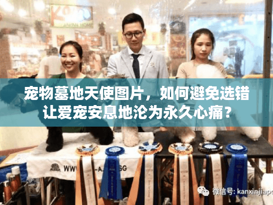 宠物墓地天使图片，如何避免选错让爱宠安息地沦为永久心痛？