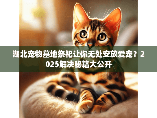 湖北宠物墓地祭祀让你无处安放爱宠？2025解决秘籍大公开