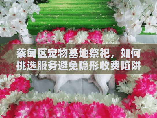 蔡甸区宠物墓地祭祀，如何挑选服务避免隐形收费陷阱？
