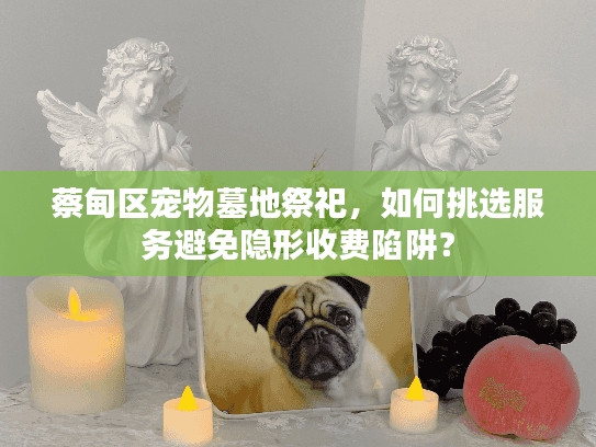 蔡甸区宠物墓地祭祀，如何挑选服务避免隐形收费陷阱？