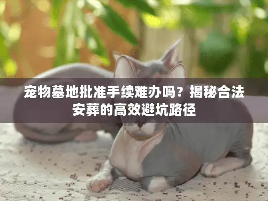 宠物墓地批准手续难办吗？揭秘合法安葬的高效避坑路径