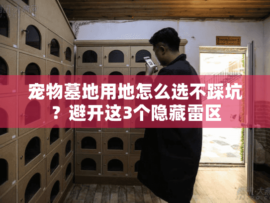 宠物墓地用地怎么选不踩坑?避开这3个隐藏雷区 宠物墓地用地怎么选不踩坑?避开这3个隐藏雷区