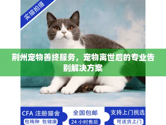 荆州宠物善终服务，宠物离世后的专业告别解决方案