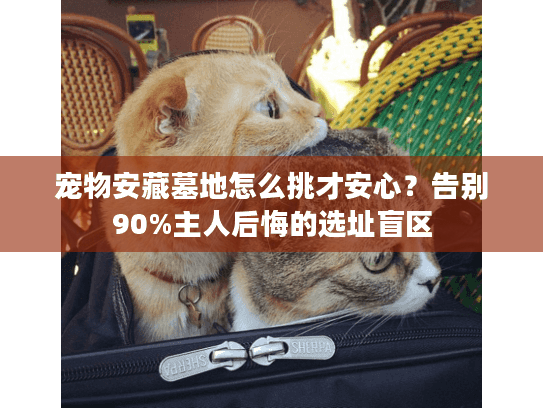 宠物安藏墓地怎么挑才安心？告别90%主人后悔的选址盲区