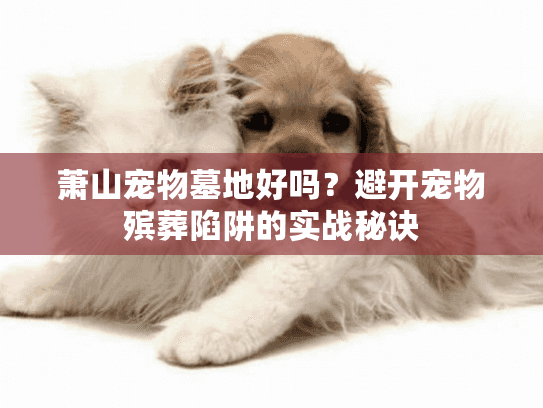 萧山宠物墓地好吗？避开宠物殡葬陷阱的实战秘诀