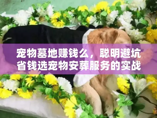 宠物墓地赚钱么，聪明避坑省钱选宠物安葬服务的实战秘诀