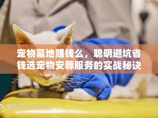 宠物墓地赚钱么，聪明避坑省钱选宠物安葬服务的实战秘诀