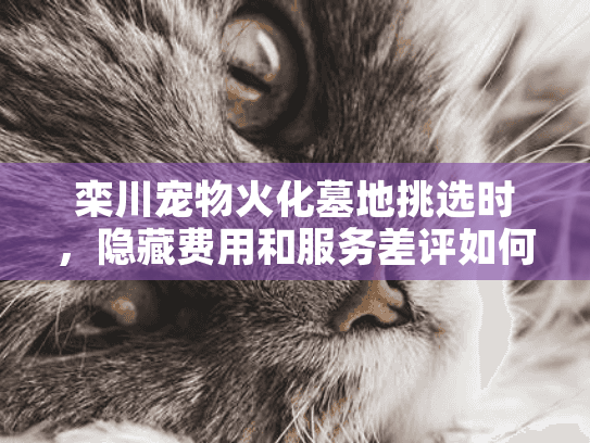 栾川宠物火化墓地挑选时，隐藏费用和服务差评如何避免？