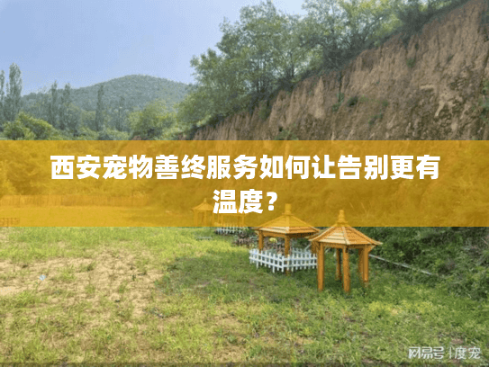 西安宠物善终服务如何让告别更有温度? 西安宠物善终服务如何让告别更有温度?