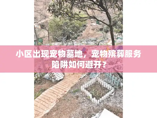 小区出现宠物墓地，宠物殡葬服务陷阱如何避开？