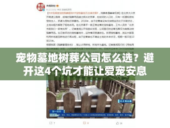 宠物墓地树葬公司怎么选？避开这4个坑才能让爱宠安息