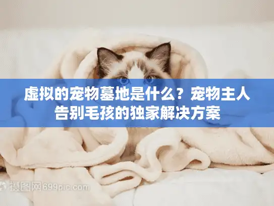 虚拟的宠物墓地是什么？宠物主人告别毛孩的独家解决方案