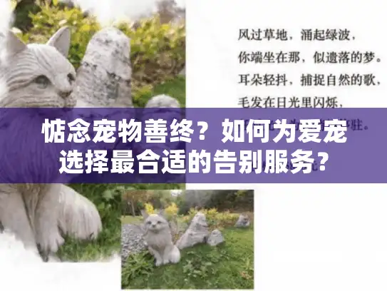 惦念宠物善终？如何为爱宠选择最合适的告别服务？