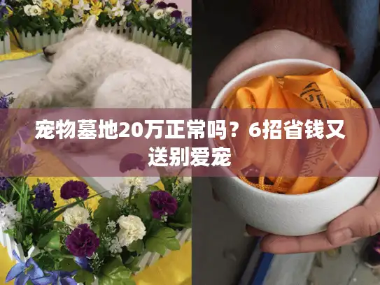 宠物墓地20万正常吗？6招省钱又送别爱宠