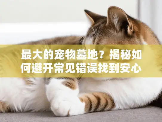 最大的宠物墓地？揭秘如何避开常见错误找到安心归宿