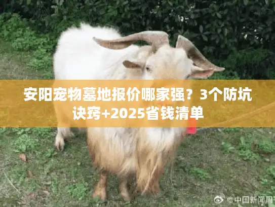 安阳宠物墓地报价哪家强？3个防坑诀窍+2025省钱清单