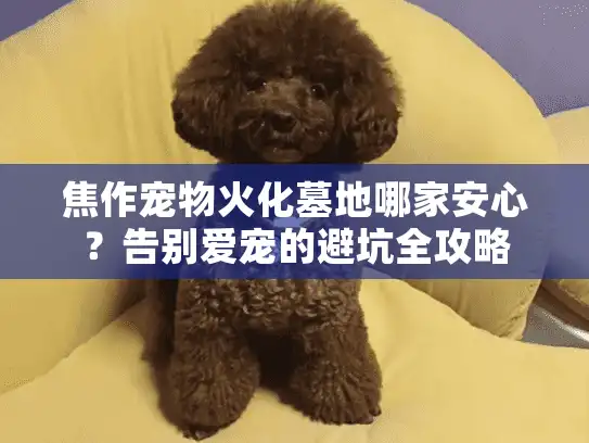 焦作宠物火化墓地哪家安心？告别爱宠的避坑全攻略