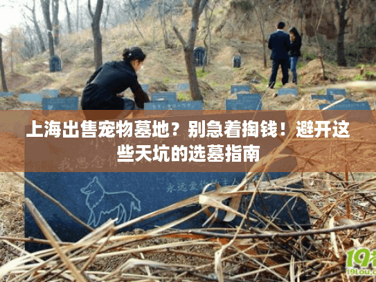 上海出售宠物墓地？别急着掏钱！避开这些天坑的选墓指南