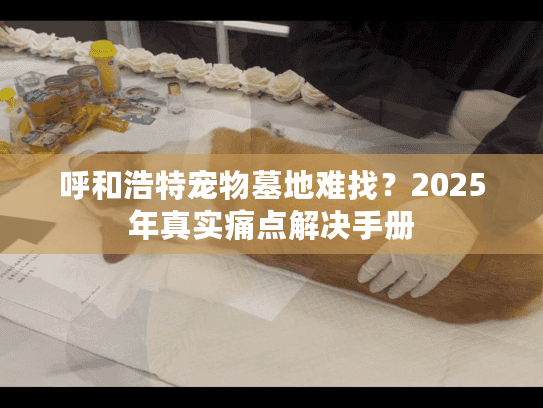 呼和浩特宠物墓地难找?2025年真实痛点解决手册 呼和浩特宠物墓地难找?2025年真实痛点解决手册