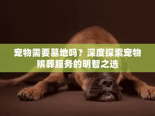 宠物需要墓地吗？深度探索宠物殡葬服务的明智之选