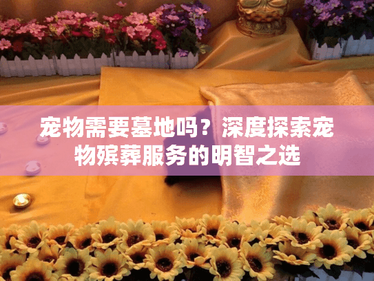 宠物需要墓地吗？深度探索宠物殡葬服务的明智之选
