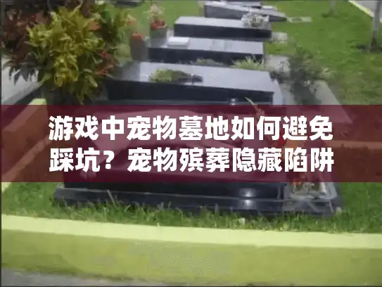 游戏中宠物墓地如何避免踩坑？宠物殡葬隐藏陷阱清单
