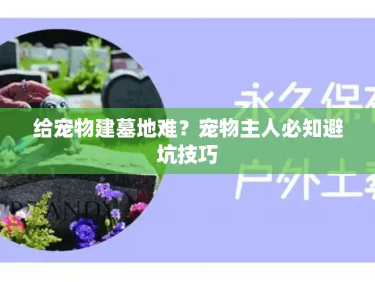 给宠物建墓地难?宠物主人必知避坑技巧 给宠物建墓地难?宠物主人必知避坑技巧
