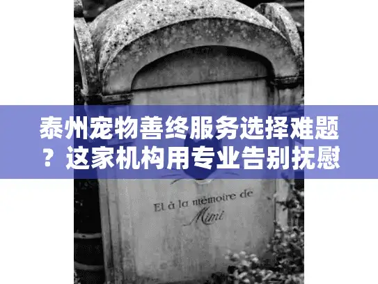 泰州宠物善终服务选择难题？这家机构用专业告别抚慰心灵