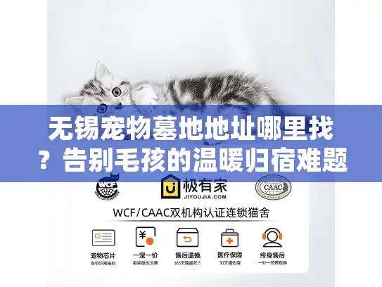 无锡宠物墓地地址哪里找?告别毛孩的温暖归宿难题 无锡宠物墓地地址哪里找?告别毛孩的温暖归宿难题