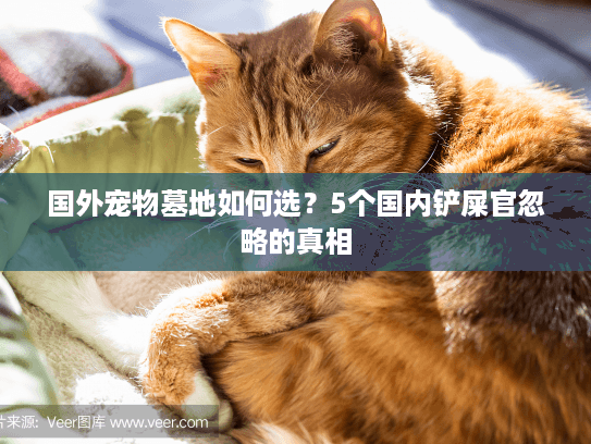 国外宠物墓地如何选?5个国内铲屎官忽略的真相 国外宠物墓地如何选?5个国内铲屎官忽略的真相