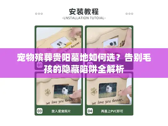 宠物殡葬贵阳墓地如何选？告别毛孩的隐藏陷阱全解析