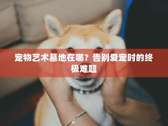 宠物艺术墓地在哪？告别爱宠时的终极难题