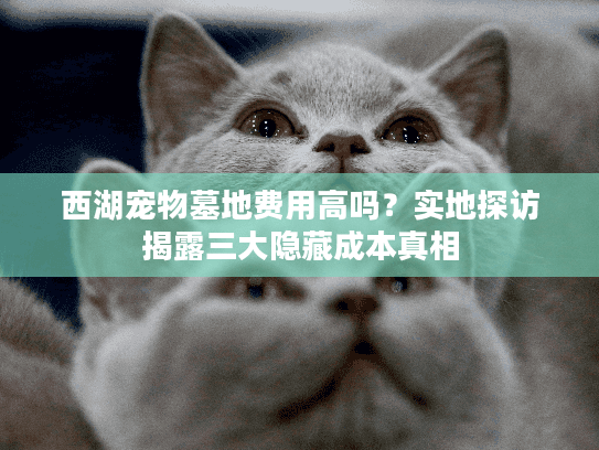 西湖宠物墓地费用高吗？实地探访揭露三大隐藏成本真相