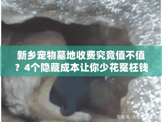 新乡宠物墓地收费究竟值不值？4个隐藏成本让你少花冤枉钱
