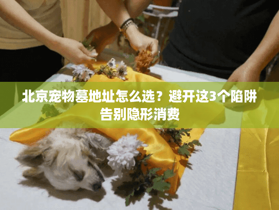 北京宠物墓地址怎么选?避开这3个陷阱告别隐形消费 北京宠物墓地址怎么选?避开这3个陷阱告别隐形消费