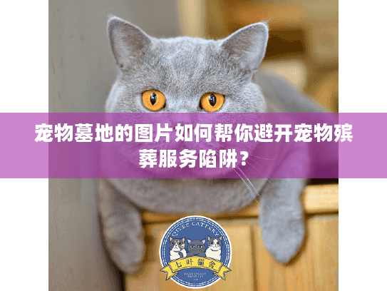 宠物墓地的图片如何帮你避开宠物殡葬服务陷阱? 宠物墓地的图片如何帮你避开宠物殡葬服务陷阱?