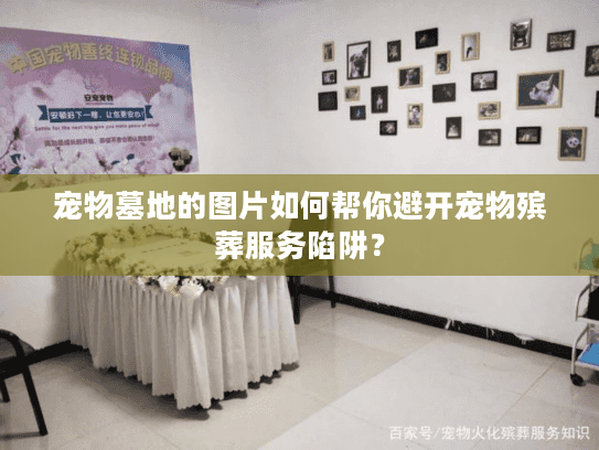 宠物墓地的图片如何帮你避开宠物殡葬服务陷阱? 宠物墓地的图片如何帮你避开宠物殡葬服务陷阱?