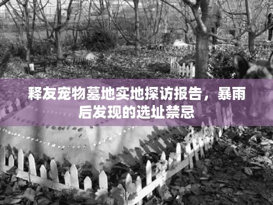 释友宠物墓地实地探访报告,暴雨后发现的选址禁忌 释友宠物墓地实地探访报告,暴雨后发现的选址禁忌