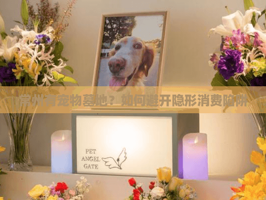 常州有宠物墓地？如何避开隐形消费陷阱
