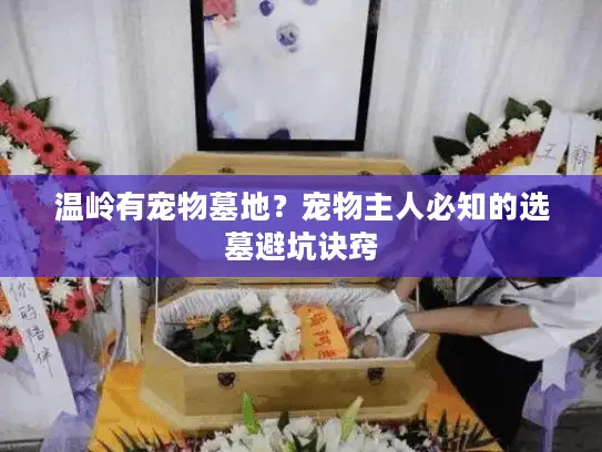 温岭有宠物墓地？宠物主人必知的选墓避坑诀窍