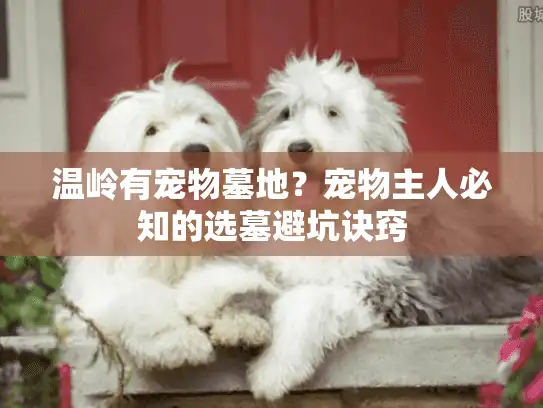 温岭有宠物墓地？宠物主人必知的选墓避坑诀窍