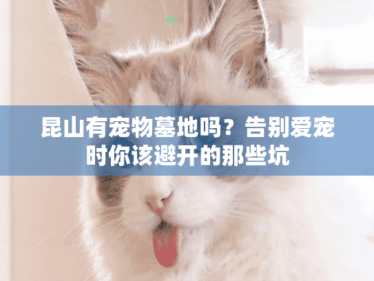 昆山有宠物墓地吗?告别爱宠时你该避开的那些坑 昆山有宠物墓地吗?告别爱宠时你该避开的那些坑