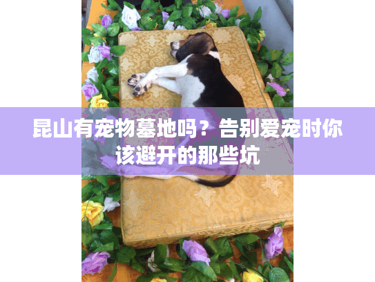 昆山有宠物墓地吗?告别爱宠时你该避开的那些坑 昆山有宠物墓地吗?告别爱宠时你该避开的那些坑