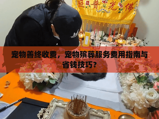宠物善终收费,宠物殡葬服务费用指南与省钱技巧? 宠物善终收费,宠物殡葬服务费用指南与省钱技巧?