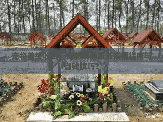 宠物善终收费,宠物殡葬服务费用指南与省钱技巧? 宠物善终收费,宠物殡葬服务费用指南与省钱技巧?