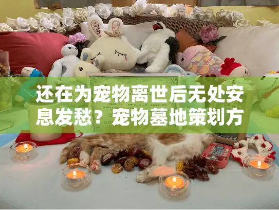 还在为宠物离世后无处安息发愁？宠物墓地策划方案全解析（2025最新）