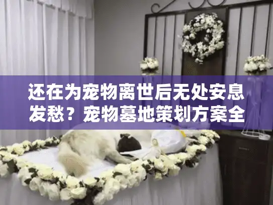 还在为宠物离世后无处安息发愁？宠物墓地策划方案全解析（2025最新）